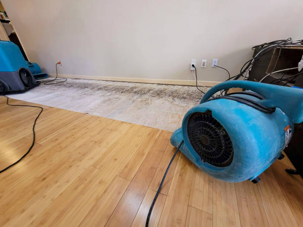 Professional Water Extraction technician working in North Versailles, PA